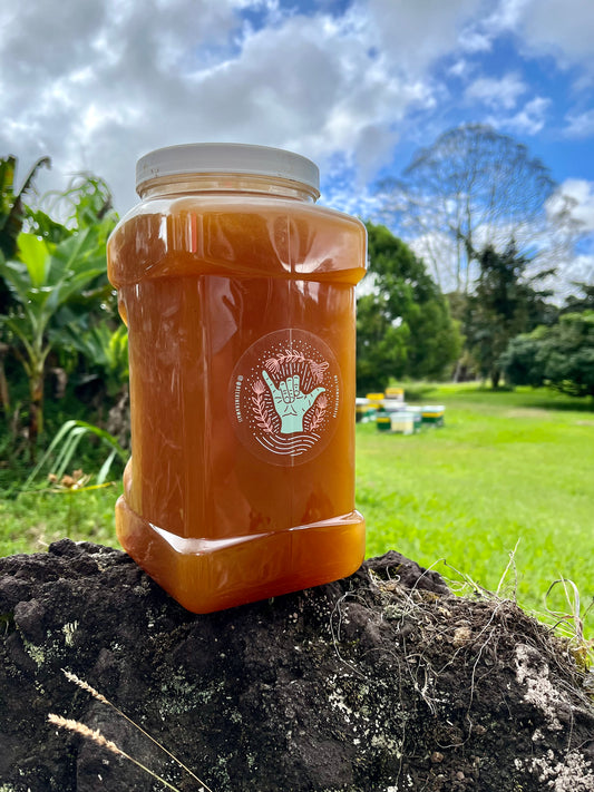 Raw Honey 1 Gallon